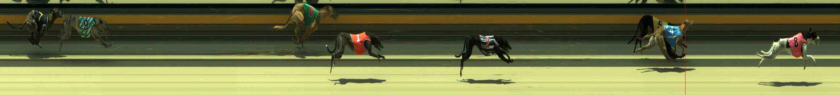 Photo finish for Sale Race 9