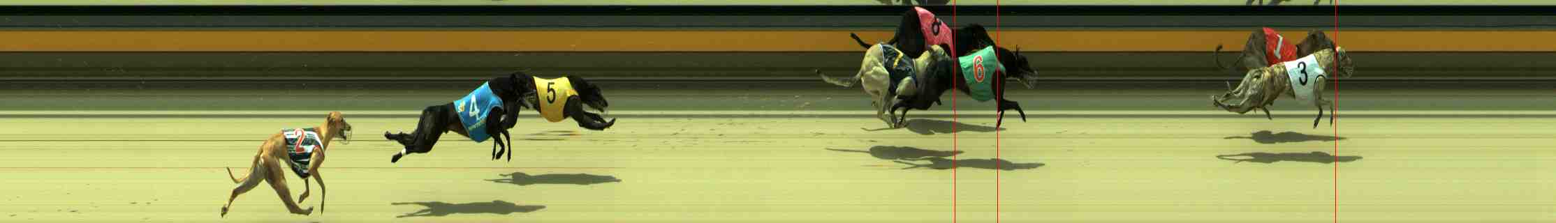 Photo finish for Sale Race 10