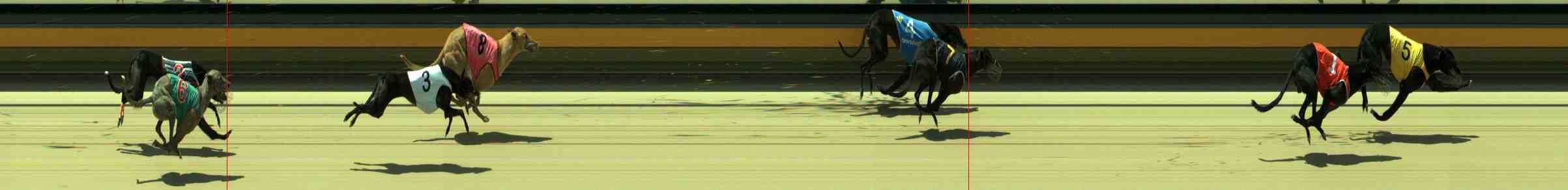 Photo finish for Sale Race 11