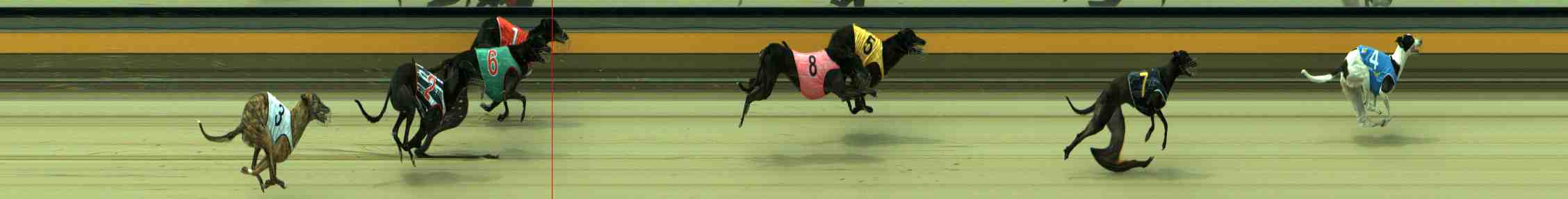 Photo finish for Sale Race 12