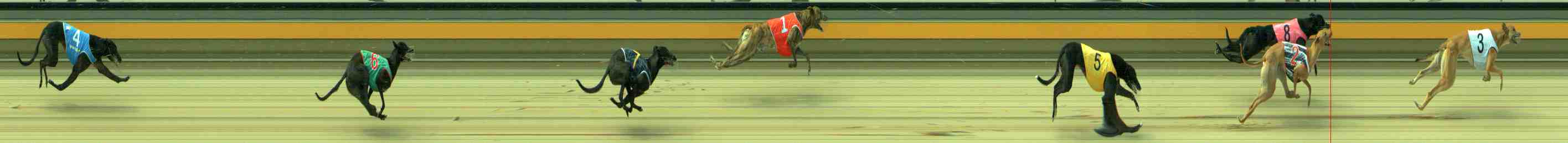 Race result finish photo