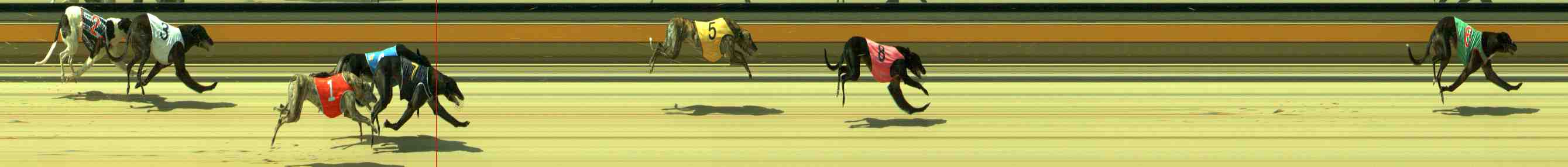 Photo finish for Sale Race 2