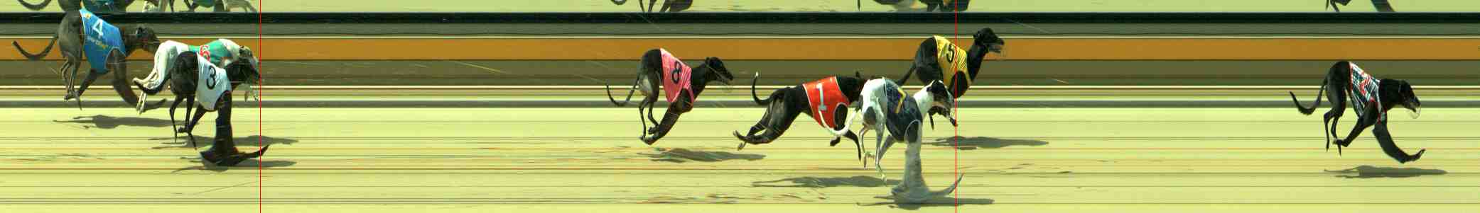 Photo finish for Sale Race 3