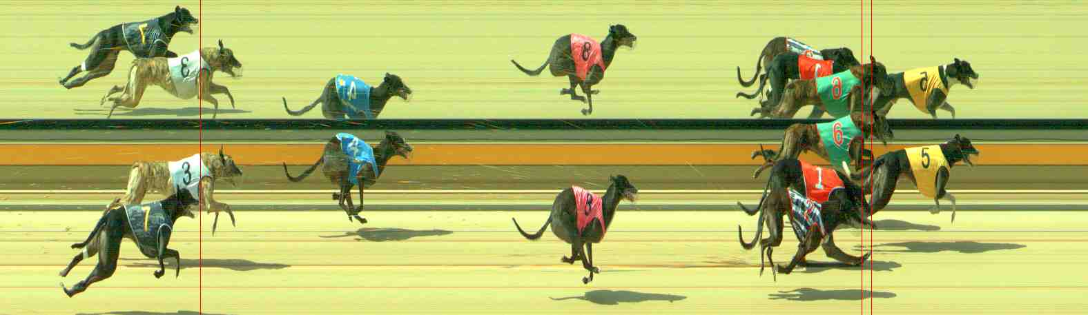 Photo finish for Sale Race 4