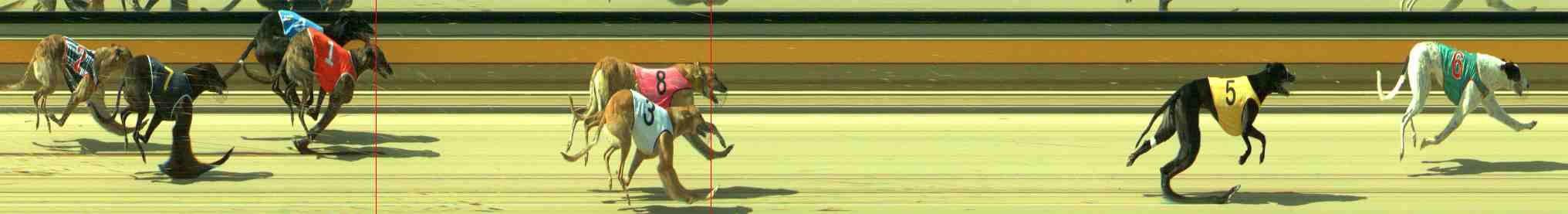Photo finish for Sale Race 5