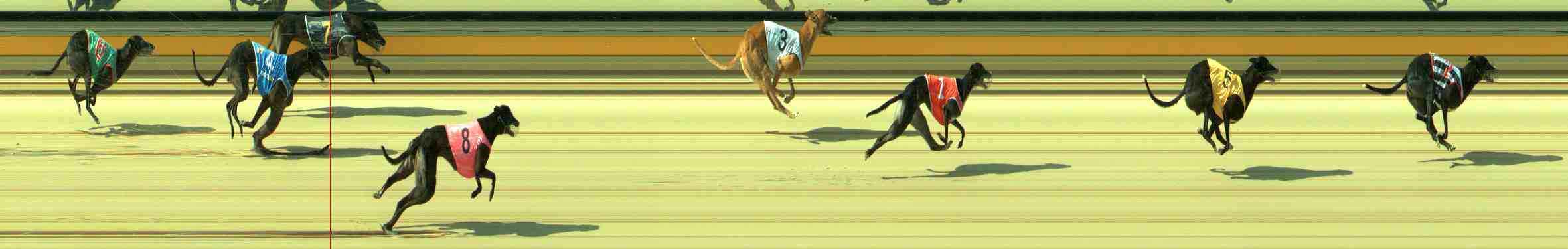 Photo finish for Sale Race 7