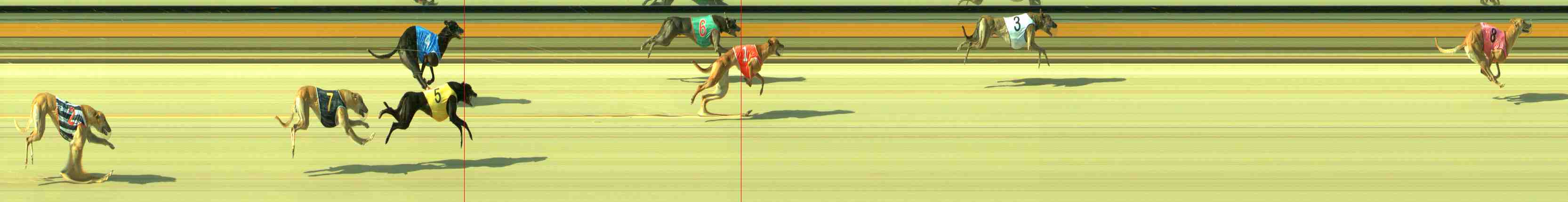 Photo finish for Sale Race 8