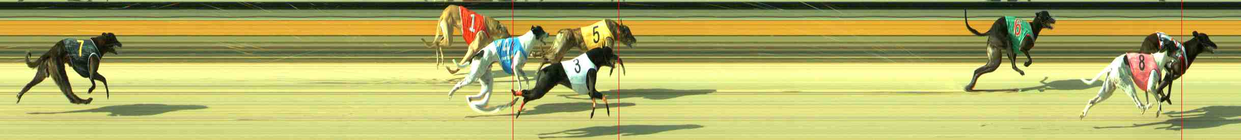 Photo finish for Sale Race 9