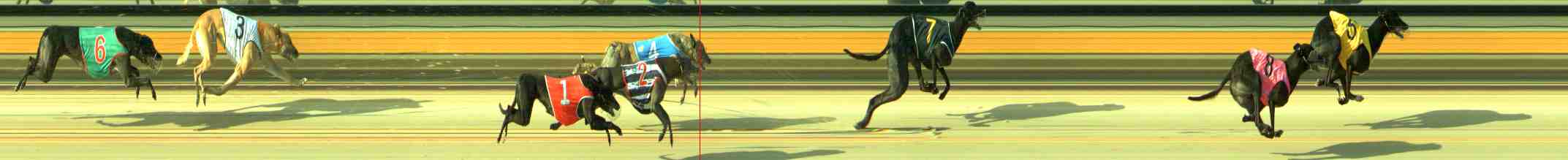 Photo finish for Sale Race 10