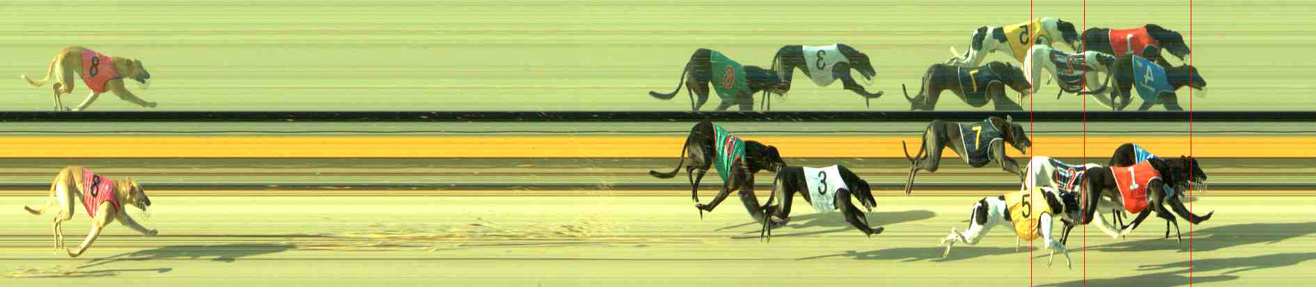Photo finish for Sale Race 11