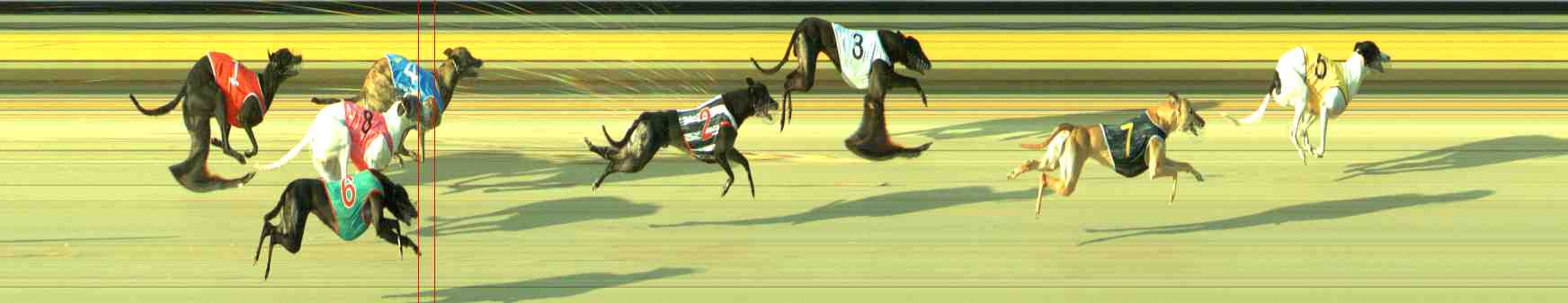 Photo finish for Sale Race 12