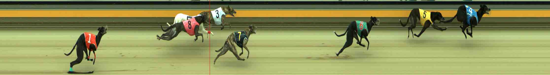 Photo finish for Sale Race 1