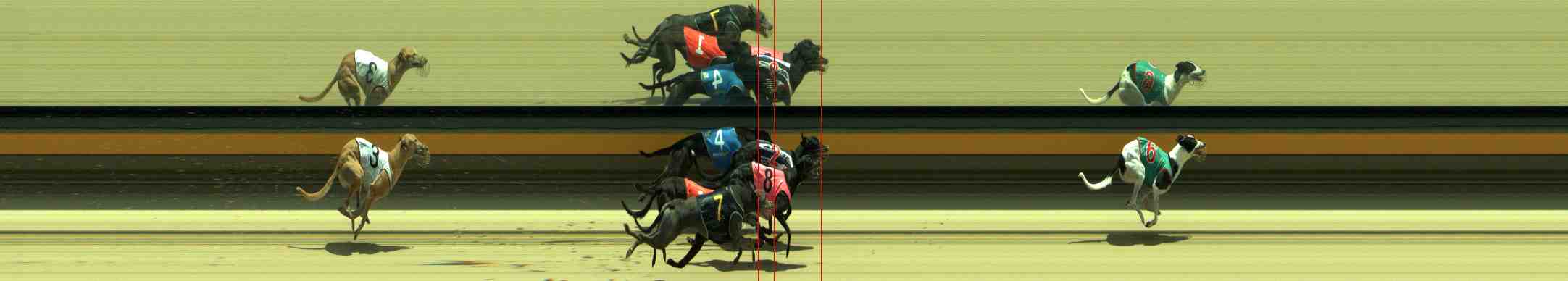 Photo finish for Sale Race 3