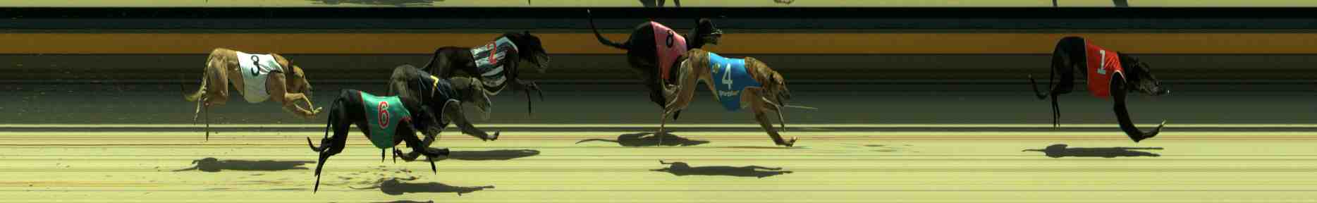 Photo finish for Sale Race 4