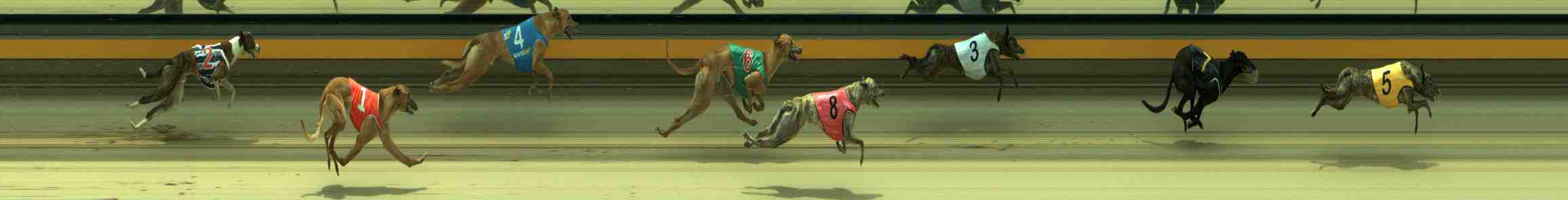 Photo finish for Sale Race 6