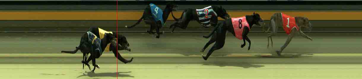 Photo finish for Sale Race 7