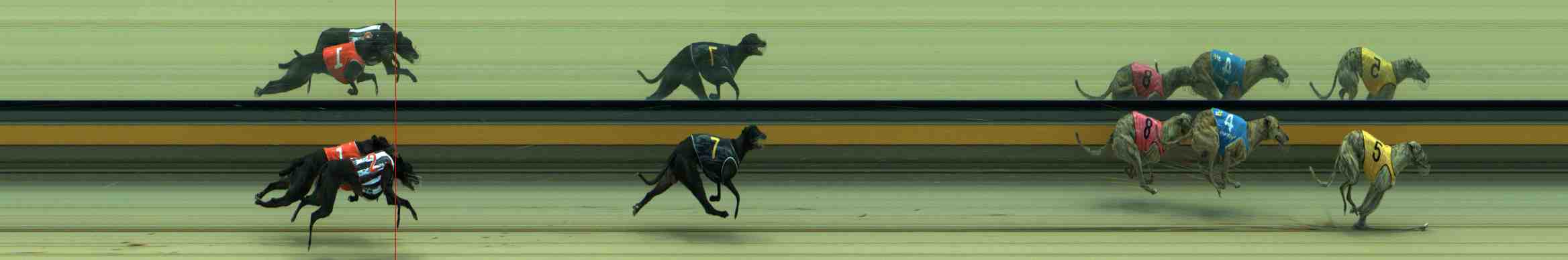 Photo finish for Sale Race 8