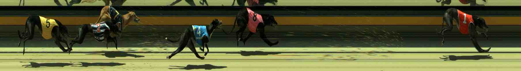 Photo finish for Sale Race 9