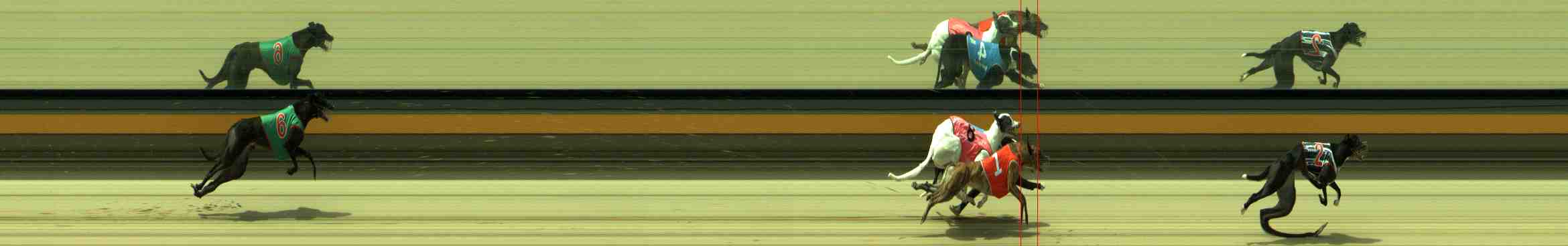 Photo finish for Sale Race 10