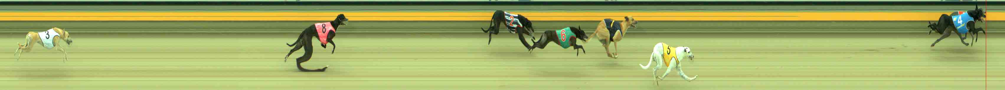 Photo finish for Sale Race 1