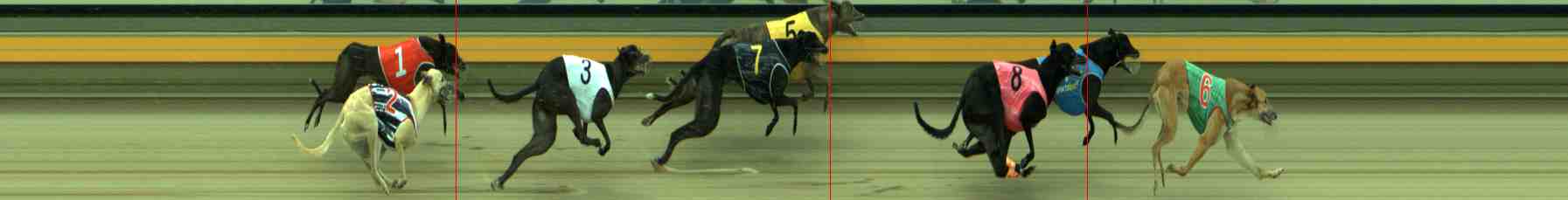Photo finish for Sale Race 2