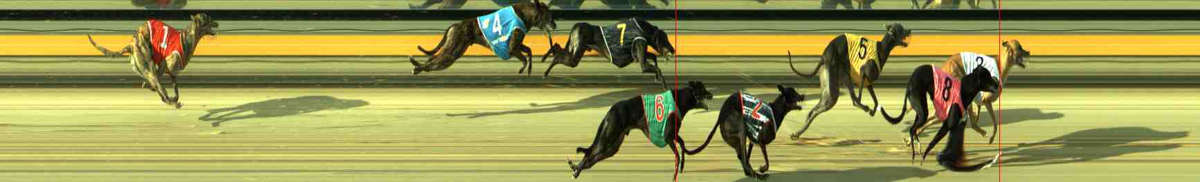 Photo finish for Sale Race 4