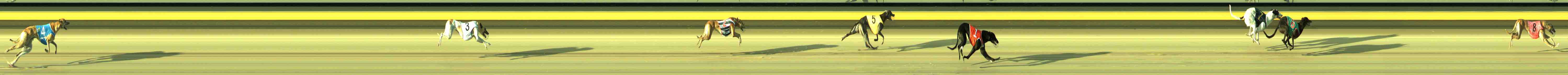 Photo finish for Sale Race 5