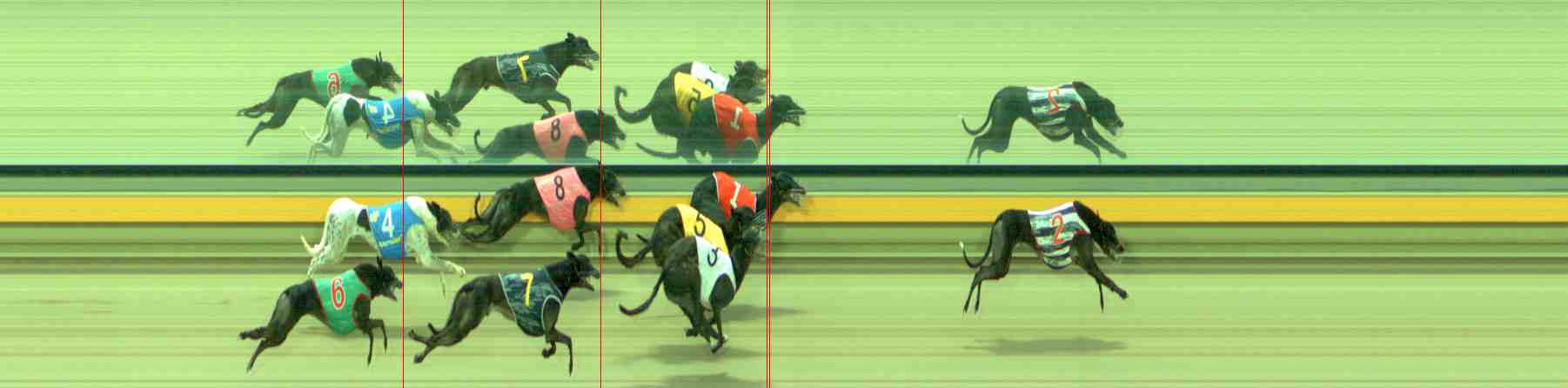Photo finish for Sale Race 6