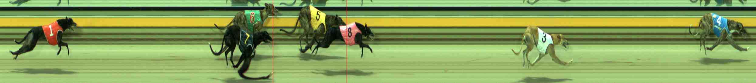 Photo finish for Sale Race 8