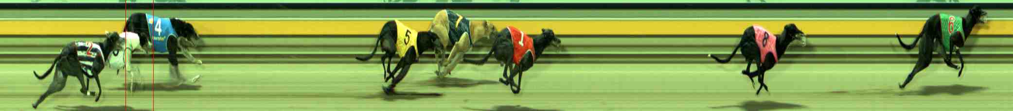 Photo finish for Sale Race 9