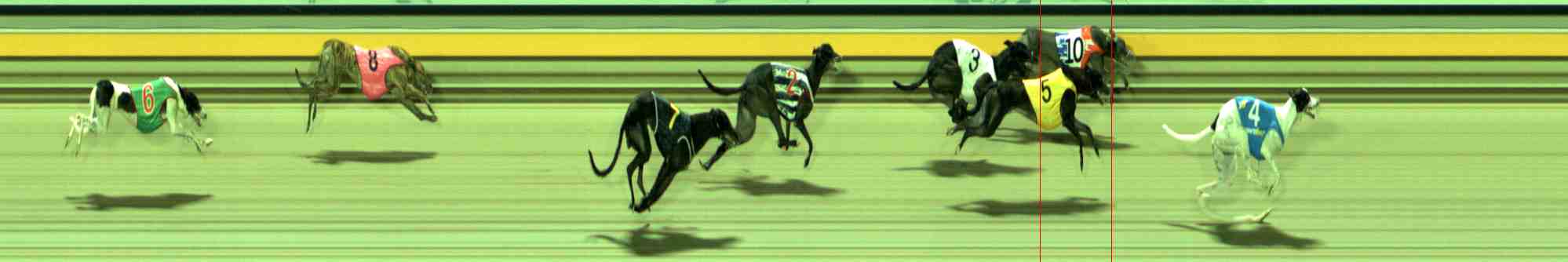 Photo finish for Sale Race 10