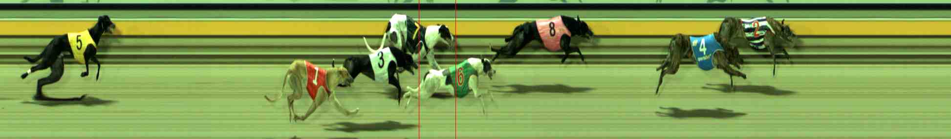 Photo finish for Sale Race 11