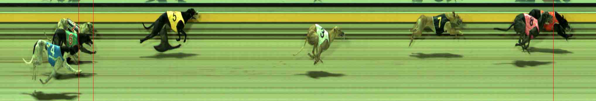Photo finish for Sale Race 12