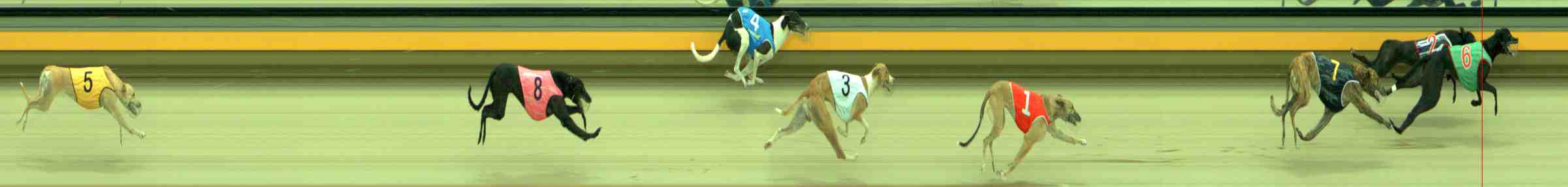 Race result finish photo