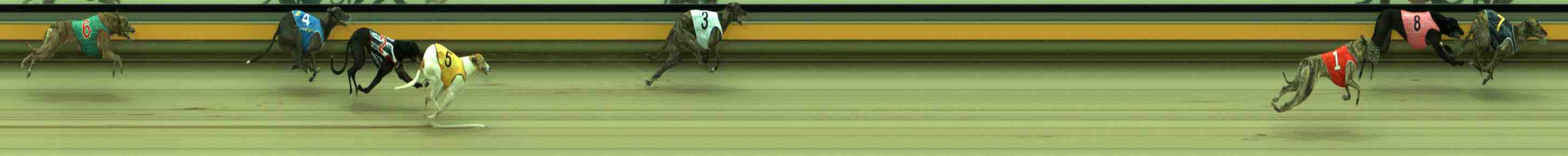 Photo finish for Sale Race 2