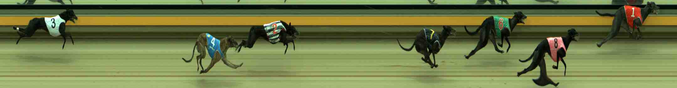 Photo finish for Sale Race 3