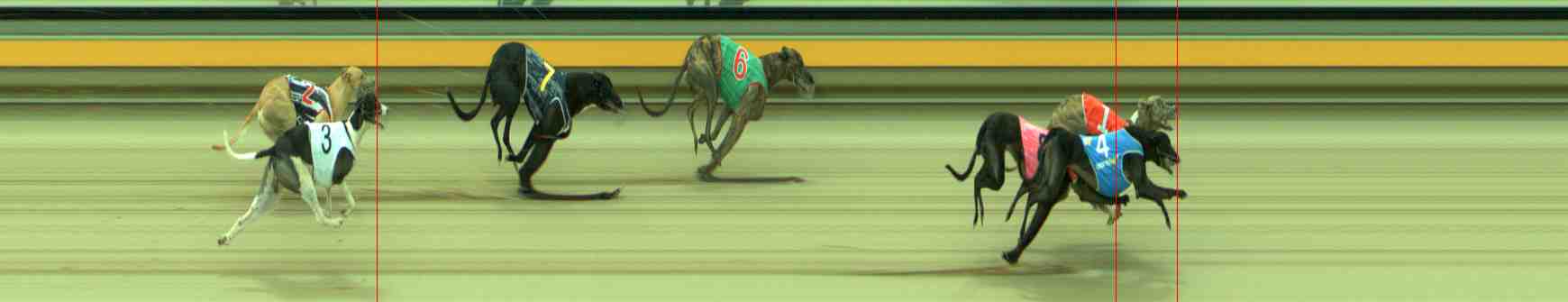 Photo finish for Sale Race 4