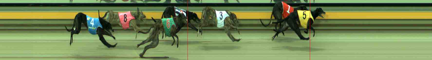 Photo finish for Sale Race 5