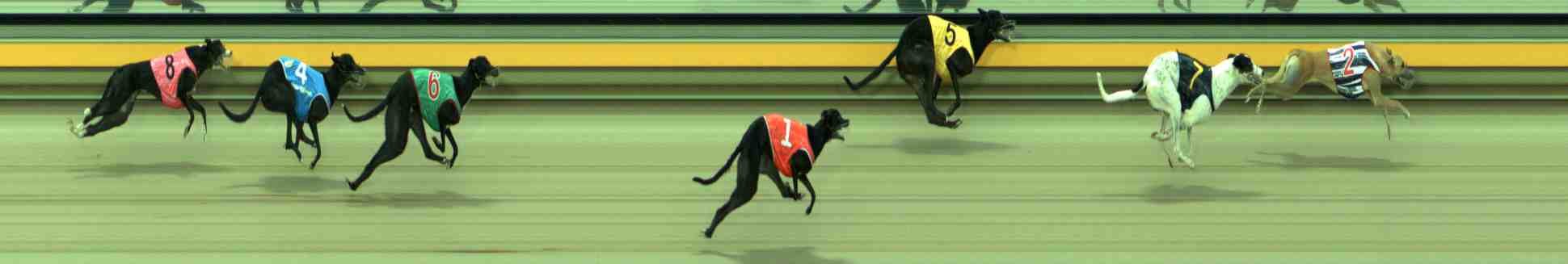 Photo finish for Sale Race 6