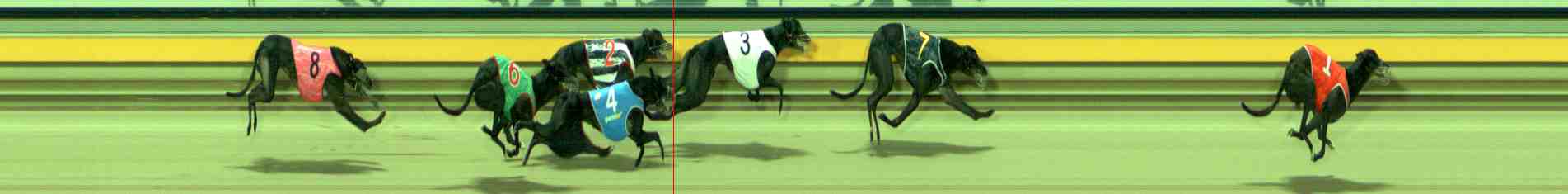 Photo finish for Sale Race 8
