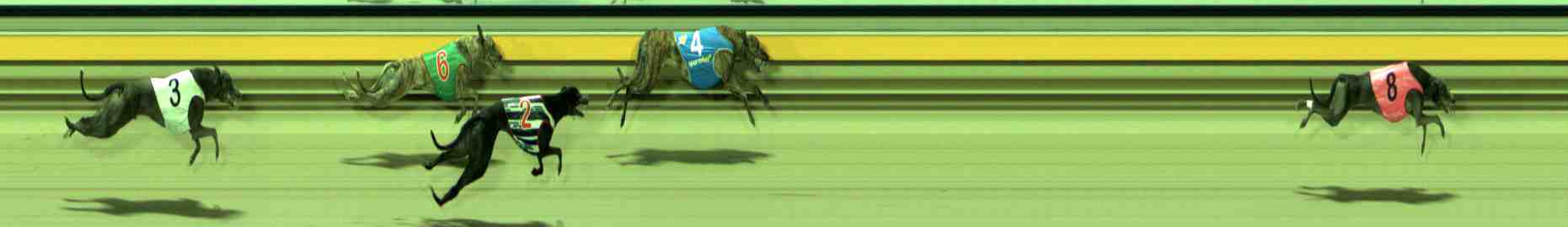 Photo finish for Sale Race 9
