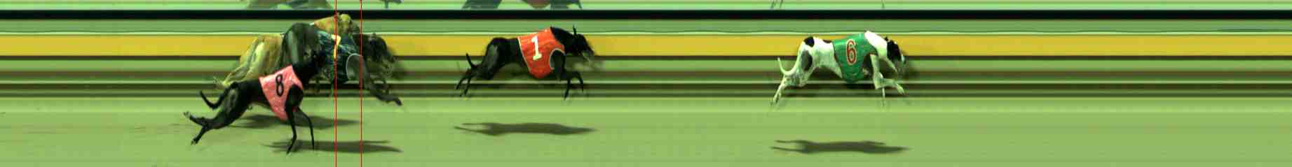 Photo finish for Sale Race 10