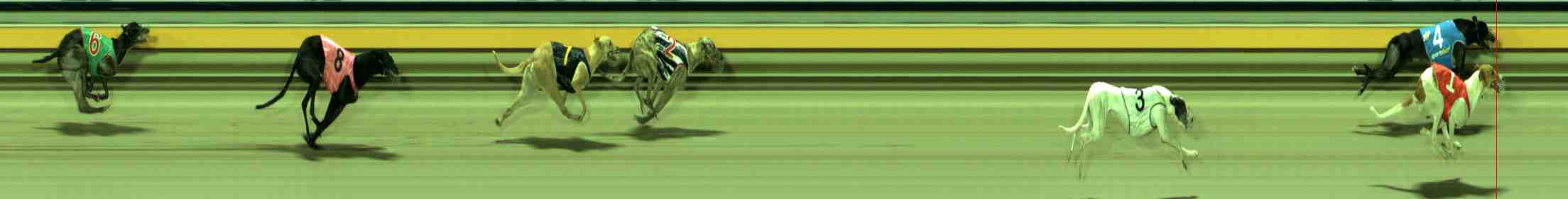 Photo finish for Sale Race 11