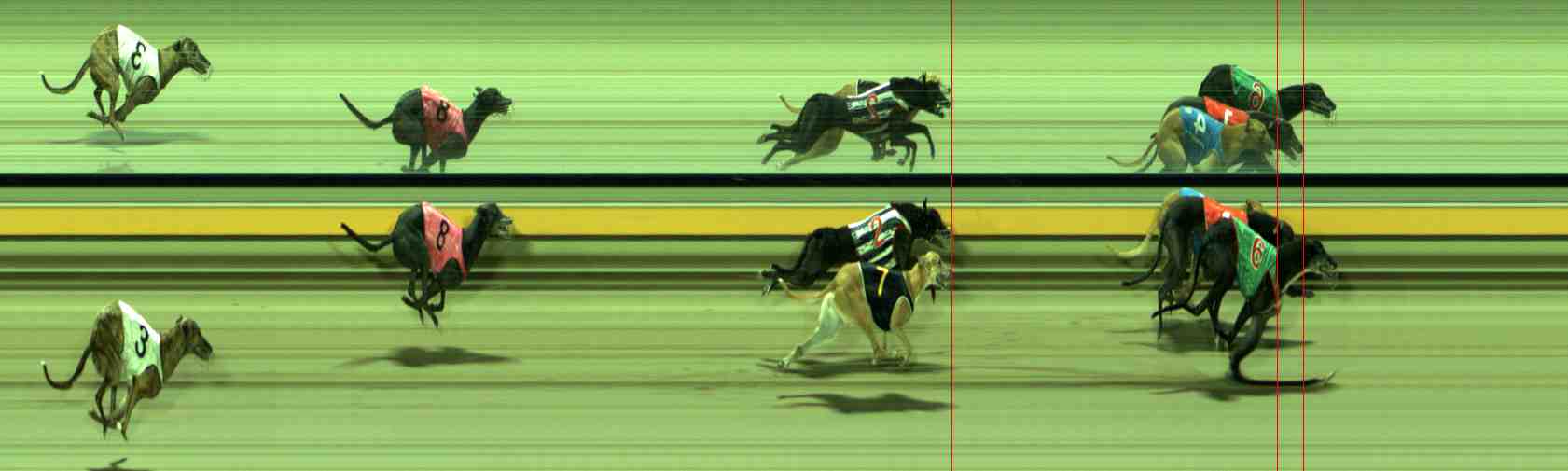 Photo finish for Sale Race 12