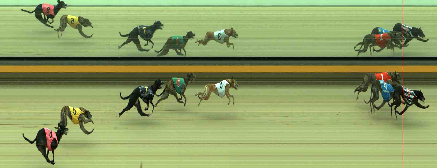 Photo finish for Sale Race 2