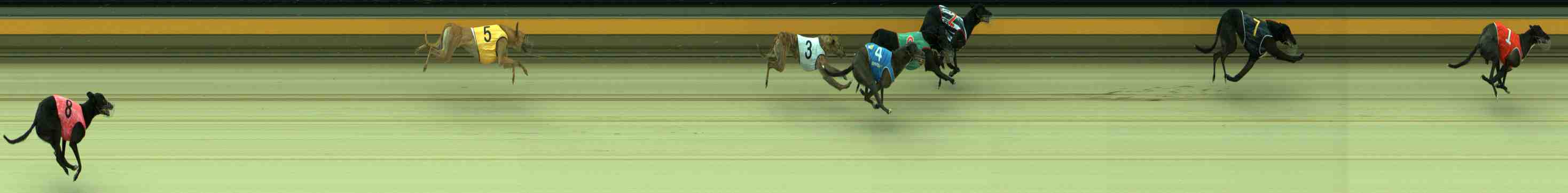 Photo finish for Sale Race 3