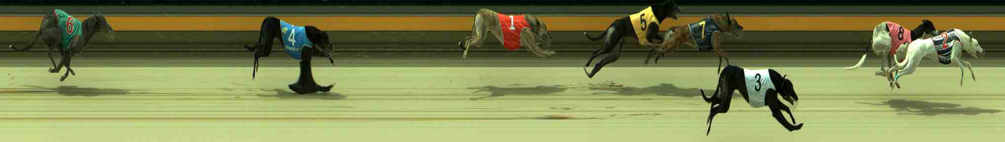 Photo finish for Sale Race 4