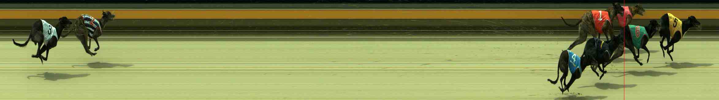 Photo finish for Sale Race 5