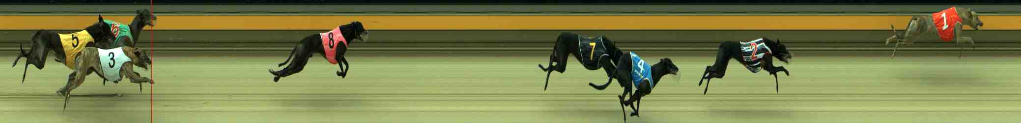Photo finish for Sale Race 6