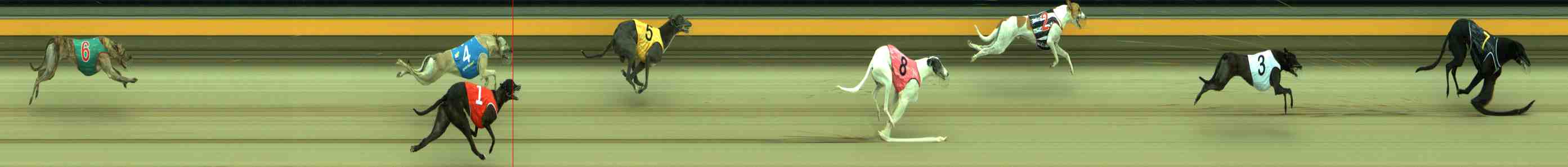 Photo finish for Sale Race 7